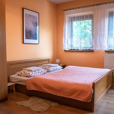 Apartament Domino - Krzeptowki 06 Zakopane Eksteriør bilde